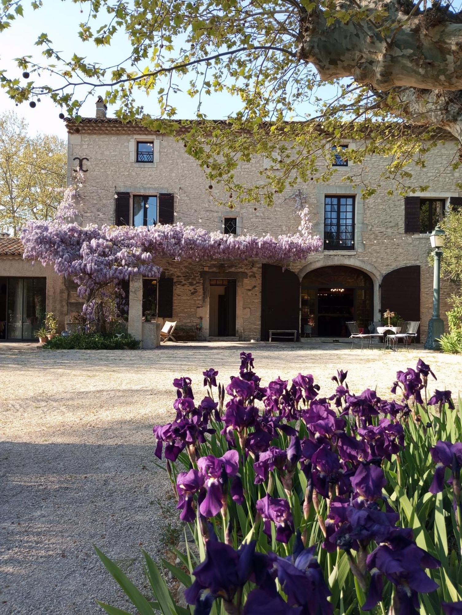 Remy A Dit Saint-Rémy-de-Provence 외부 사진